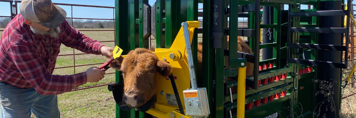 Head Holder Banner Image 1