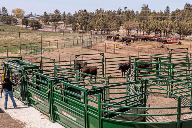 Sept 17 aq blog main img